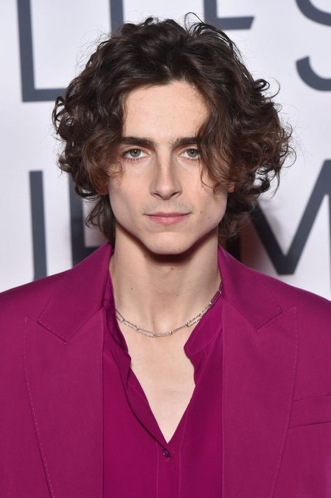 Timothée Chalamet debuted a mustache and goatee at the 2020 National Board of Review Gala in New York City. See the actor's new look here. Timothee Chalamet, Curly Hair, A Man, Purple, Hair