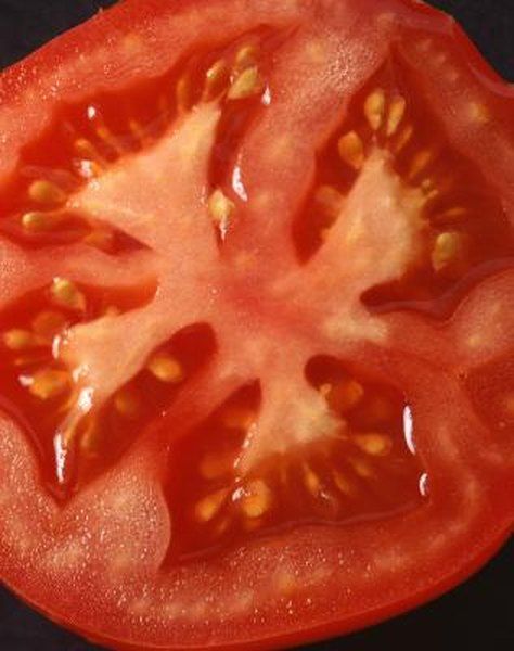 Tomato Disease, Victory Gardens, Growing Tomatoes From Seed, Tomato Varieties, Alpine Strawberries, Tips For Growing Tomatoes, Growing Tomato Plants, Beds Ideas, Tomato Farming