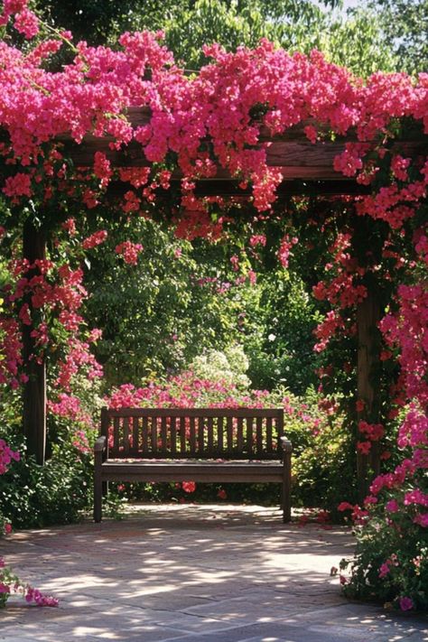 "Bougainvillea is a vibrant and show-stopping choice for transforming your pergola into a tropical paradise! 🌿🌺 With its dazzling clusters of colorful bracts, Bougainvillea adds a burst of exotic beauty and warmth to any outdoor space. Fast-growing and bursting with color, this climbing plant creates a stunning, lush canopy that turns your pergola into a true garden escape. 😍✨ #BougainvilleaBeauty #ClimbingPlants #PergolaInspiration #TropicalGarden" Climbing Bougainvillea, Bougainvillea Pergola, Bougainvillea Propagation, Bouganvilla Landscaping, Bougainvillea Trellis Wall, Bougainvillea Garden, Bougainvillea In Pots, Bougainvillea Hanging Basket, Bougainvillea Gazebo