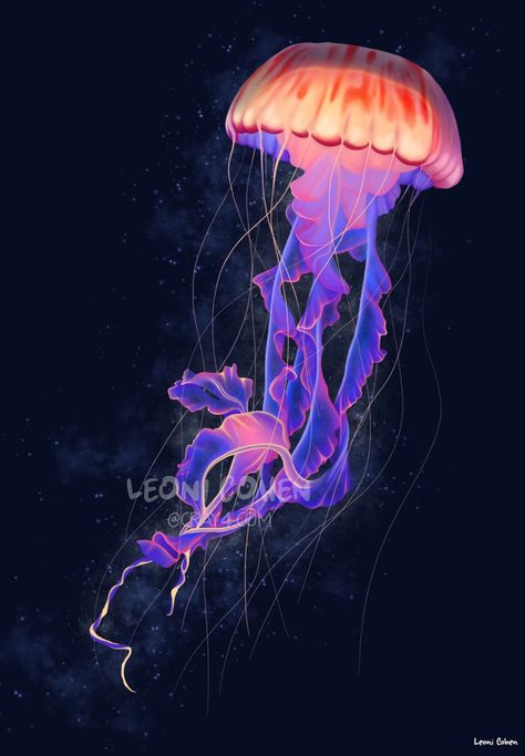 Medusa Animal, Painting Jellyfish, Jellyfish Illustration, Jellyfish Decorations, Jellyfish Photography, Bawah Air, Jellyfish Drawing, Jellyfish Painting, Jellyfish Craft