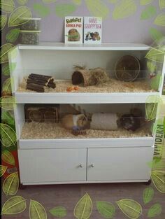 Hedgehog Pet Cage, Indoor Guinea Pig Cage, Guinea Pig Cage Ideas, Hedgehog Cage, Diy Guinea Pig Cage, Guinea Pig Ideas, Guinea Pig Diy, Pig Ideas, Guinea Pig Cages