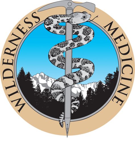 Wilderness Medicine, Medical Mission Trip, Big Sky Resort, Travel Medicine, Medicine Logo, Small Yachts, Medical Missions, Africa Wildlife, Everest Base Camp Trek