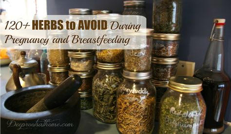 120+ Herbs to Avoid During Pregnancy and Breastfeeding Herbs To Avoid During Pregnancy, Herbs For Pregnancy, Holistic Postpartum, Holistic Parenting, Pregnancy Herbs, Medicine Alternative, Breastfeeding Cookies, Holistic Pregnancy, Pregnancy Remedies