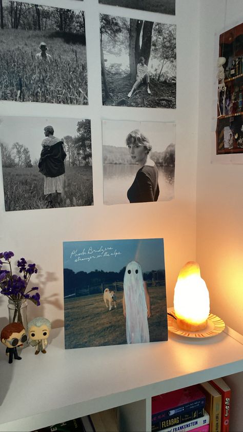 Phoebe Bridgers Room, Phoebe Bridgers Vinyl, Record Taylor Swift, Figures Aesthetic, Taylor Swift Posters, Phoebe Bridgers, Good Omens, Aesthetic Room, Vinyl Record