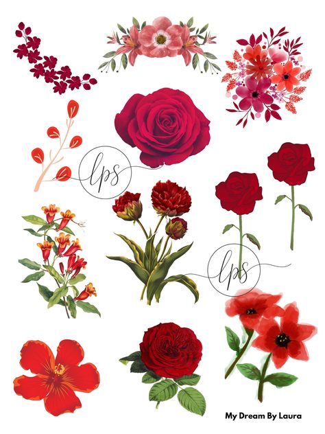 Red Journal Stickers, Flower Stickers Printable, Red Flower Sticker, Journal Flowers, Red Stickers, Red Journal, Planner Stickers Digital, Christmas Background Images, Png Stickers