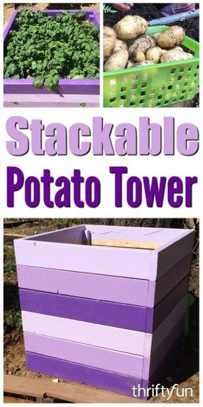 Potato Planters Diy, Gardening Potatoes, Potato Planter, Stackable Planters, Potato Tower, Potato Planters, Potato Gardening, Mercedes Sls Amg, Gardening Guide