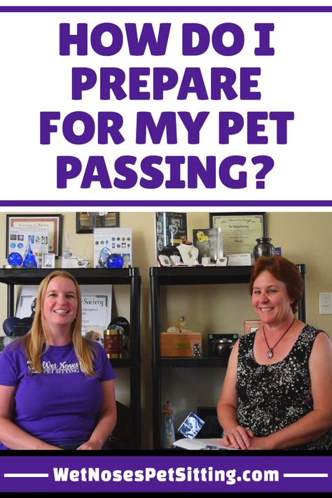 How Do I Prepare for My Pet Passing? Pet Passing, Animal Tips, Pet Caskets, The Loss Of A Pet, Wood Casket, House Training Puppies, Cat Sitter, Pet Sitting, Pet Sitters