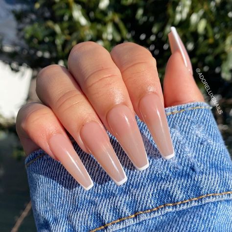 Luxe Nails, Long Acrylic Nail Designs, Ombre Acrylic Nails, Cute Acrylic Nail Designs, Simple Acrylic Nails, Blush Nails, Long Acrylic Nails Coffin, Coffin Shape Nails, Long Square Acrylic Nails