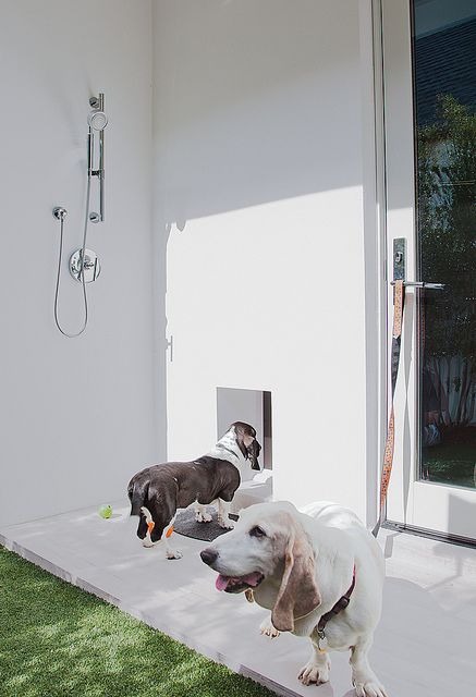 Outdoor shower right next to the doggy door - they have thought of everything. Best Dog Door, Pet Washing Station, Dog Room Decor, Dog Washing Station, Outside Dogs, Pet Doors, Mudroom Design, Dog Wash, Dog Shower