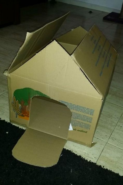 this video tutorial on how to make an easy cat house using cardboard, create a cozy house for your favorite pet, Cats love lounging around boxes. just follow this easy cat house making video and you are going to know how to make easy cat house from cardboard. Easy Cat House, House From Cardboard, Kitten House, Cardboard Cat House, Diy Pet Bed, Cat Castle, Cat House Diy, Pet Cats, Bunny House