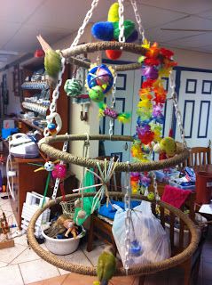 Made from Hula hoops. Try something similar to hang, possible small in the kitchen area or maybe bedroom. Bird Play Gym, Homemade Bird Toys, Parrot Play Stand, Diy Parrot Toys, Parakeet Toys, Diy Bird Toys, Bird Mobile, Bird Accessories, Bird Aviary