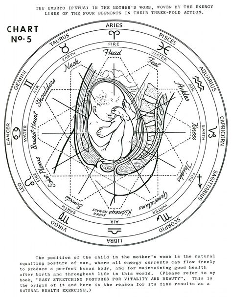 Polarity Therapy Volume 1, Book 1, Chart 05 Polarity Therapy, Yin En Yang, Sacred Science, Sacred Geometry Symbols, Alchemy Symbols, Spirit Science, Three Fold, Energy Medicine, Astrology Chart