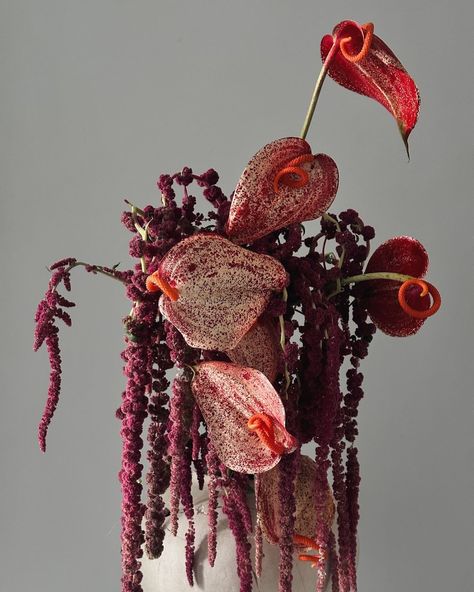 Sasha Ben | // anthúrium & amaránthus // amour 💔 | Instagram Cool Flower Bouquet, Flowers For Bouquet, Anthurium Floral Arrangements, Wedding Red Flowers, September Studio Flowers, Autumn Floral Arrangements, Flowers Arrangements, Wedding Tablescape, Anthurium Arrangement