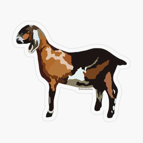 Anglo Nubian Goats, Goat Sticker, Goat Breeds, Porch Goose, Nubian Goat, Cute Goats, Animal Illustrations, Animal Farm, Primates