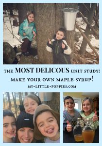 Make Maple Syrup at Home The Most Delicious Unit Study Ever Maple Tapping, Homeschool Coop, Maple Sugaring, Homeschool Geography, School Psychologist, Family Books, Science Resources, Unit Study, Outdoor School