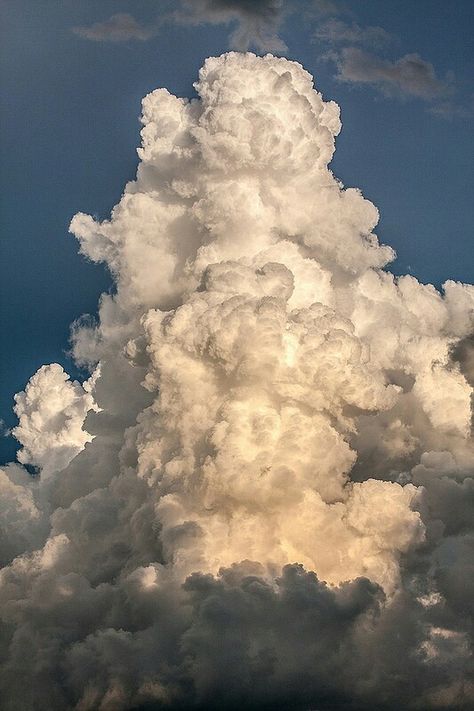 When The Wind Blows, Cumulus Clouds, Clouds Photography, Sun Light, Cloud Painting, Sky And Clouds, Beautiful Sky, Nature Aesthetic, Photo Reference