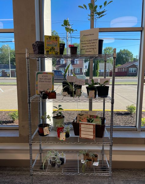 EVPL | 🪴 It's back! 🪴 The one that started it all, our 𝑷𝒍𝒂𝒏𝒕 𝑺𝒘𝒂𝒑 is back up at our renovated EVPL McCollough. Bring in one of your plants and… | Instagram Plant Swap, Library Programs, Program Ideas, The Library, House Plants, The One, Bring It On, Plants, On Instagram