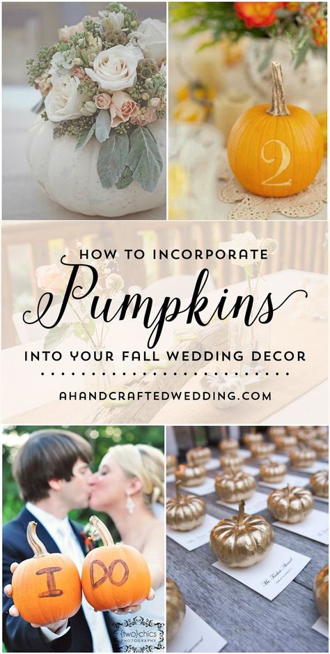 Wedding Fall Decorations, Pumpkin Wedding Decor, Pumpkin Wedding Decorations, Pumpkin Centerpieces Wedding, Pumkin Decoration, Events Decorations, Elegant Pumpkins, Fall Brunch, Pumpkin Wedding