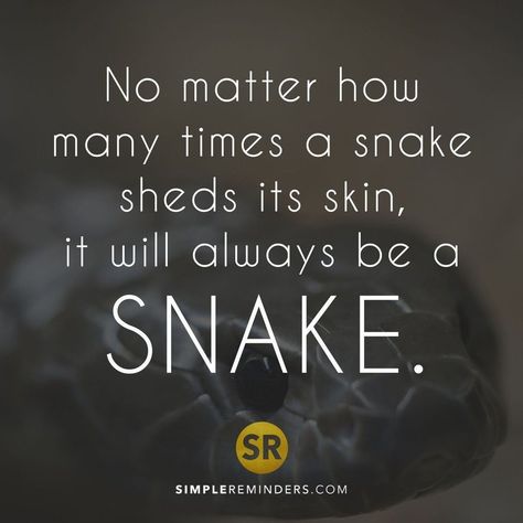 McGill Media on Instagram: “No matter how many times a snake sheds its skin, it will always be a snake.⠀ ⠀ @Simplereminders @BryantMcGill @JenniYoungMcGill⠀…” Snakes Quotes, Snake Personality, Quotes Instagram, A Snake, People Quotes, True Words, Positive Thoughts, Great Quotes, True Quotes