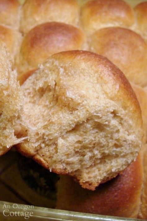 The softest 100% whole wheat dinner rolls you've ever had - complete with tutorial & make-ahead tip. Easy and so good - with or without butter. Whole Wheat Dinner Rolls, Wheat Dinner Rolls, Rolls Dinner, Bread Types, Wheat Rolls, Whole Wheat Rolls, Sicilian Food, Homemade Breads, Biscuit Rolls