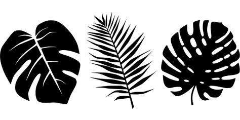 tropical leaves palms - Free SVG Image & Icon. Palm Tree Background, Palm Tree Drawing, Palm Tree Leaf, Leaf Svg, Palm Tree Silhouette, Leaf Silhouette, Palm Tree Leaves, Image Svg, Leaf Template