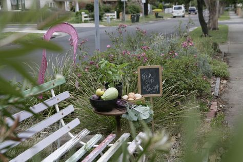 Our land abounds in nature strips’: What to do with a third of our public green space Public Green Space, Green Corridor, Urban Heat Island, Street Trees, Community Gardening, Gnome Garden, Green Space, Urban Jungle, Dream Garden