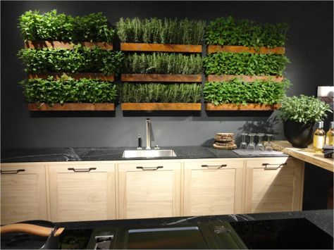 Big Ideas for Micro Living: Trending in North America | Tara Campbell Plants On The Wall, Micro Living, Micro Garden, Indoor Vegetables, Herb Wall, Herb Garden In Kitchen, Small Terrace, Vertical Herb Garden, Vertical Garden Wall