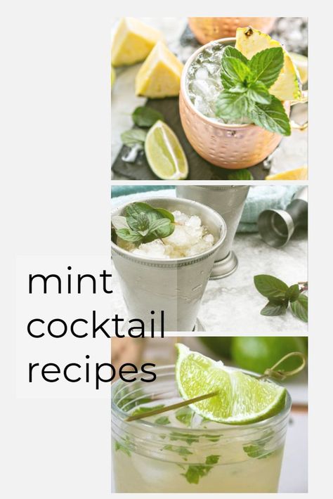 Looking for a way to use up all that mint in your garden? These delightful and refreshing Mint Cocktail Recipes will be enjoyed at your next gathering or happy hour. #beverages #alcohol #cocktails #mint #recipe Cocktails With Fresh Mint, Cocktail With Mint Leaves, Drinks With Mint Leaves Cocktails, Cocktails With Mint Leaves, Mint Drinks Alcohol, Mint Cocktail Recipes, Mint Alcoholic Drinks, Cocktails With Mint, Mint Drink Recipe