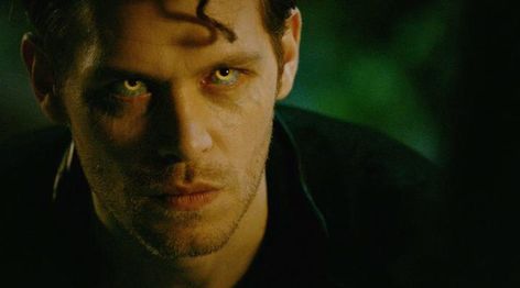 I got the eye of a tiger, a fighter, dancing through the fire :) Klaus From Vampire Diaries, Klaus The Originals, Black Roses Wallpaper, The Mikaelsons, Wolf Eyes, Vampire Diaries Funny, Joseph Morgan, Klaus Mikaelson, Mystic Falls