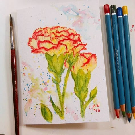 Pencil Project, Watercolor Pencils Techniques, The Frugal Crafter, Water Color Pencils, Watercolor Pens, Watercolor Pencil Art, Watercolour Pencils, Water Color Pencil, Learn Watercolor