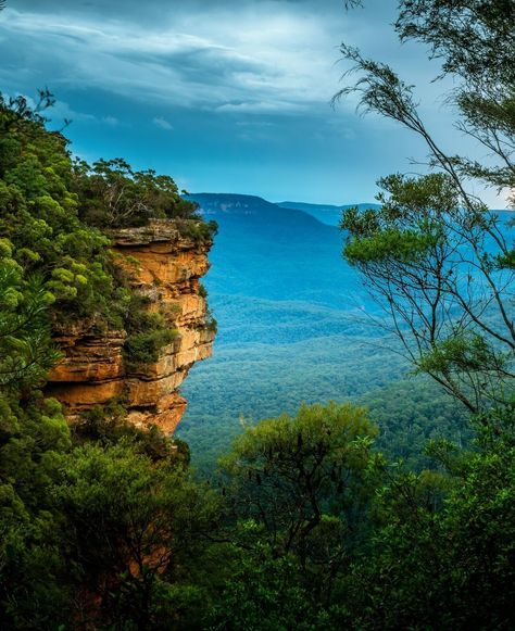 🏞️ #BlueMountainsAustralia 🏔️ Sandstone cliffs and bushland valleys of Blue Mountains Australia. Australia Mountains, Blue Mountains Australia, Mountain Valley, The Blue Mountains, Blue Mountains, Explore Nature, Blue Mountain, Australia Travel, Cambodia