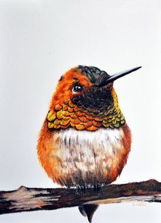 40 Color Pencil Drawings To Having You Cooing With Joy - Bored Art Color Pencil Drawings, Derwent Pencils, Using Colored Pencils, Bored Art, Drawing Realistic, Pencil Drawing Tutorials, Bird Drawing, Colored Pencil Artwork, Drawing Examples