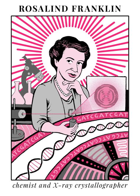 Dna Facts, Rosalind Franklin, Women In Science, Celebrate Women, Science Stickers, Women Scientists, Famous Photos, Forensic Science, Science Art