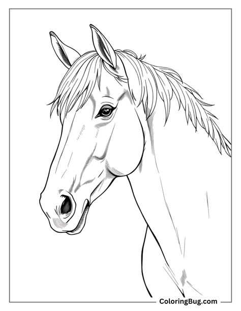 Horse Coloring Pages Free Printable, Wildlife Coloring Pages, Printable Horse Coloring Pages, Horse Head Drawing, Horse Outline, Pdf Coloring Pages, Horse Galloping, Head Drawing, Horses Theme