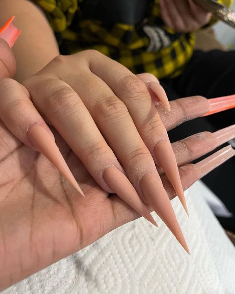 Stiletto Nude Nails, Nude Long Nails, Nude Stiletto Nails, Pointy Nail Designs, Stilleto Nails Designs, Disney Acrylic Nails, Pointy Nails, Claw Nails, Swarovski Nails