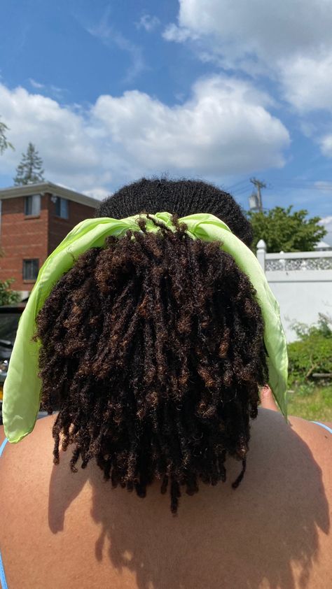 Micro Locs Starter Short, Microlocs Two Strand Twist, Starter Locs Short, Microlocs Starter, Short Microlocs Styles, Starter Microlocs, Short Microlocs, Short Starter Locs, Loc Styles Short