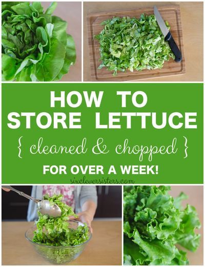 Here's how you keep cleaned, chopped lettuce fresh in your fridge for a least a week! These simple tips make it easy to have ready-to-eat lettuce on hand! #lettuce #mealprep #mealplan #salad #tips #lettuce #healthyeating #lowcarb #mealplanning #veggies #s Storing Lettuce, Flavorful Salads, Wilted Greens, Lettuce Recipes, Storing Vegetables, Storing Fruit, Kale Salad Recipes, Drink Inspiration, Fruit And Vegetable Storage