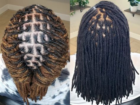 Palm Rolled Micro Locs, Large Interlock Locs, Palm Rolling Locs, Interlocking Locs Styles, Palm Rolled Starter Locs, Palm Rolled Locs, Interlocking Locs Starter, Interlock Locs, Loc Process