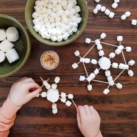 Outdoor Weather Activities, Snowflake Stem, Winter Unit Study, Classroom Snacks, Snowflake Bentley, Washington Apple, Wee Willie Winkie, Unit Studies Homeschool, Winter Unit