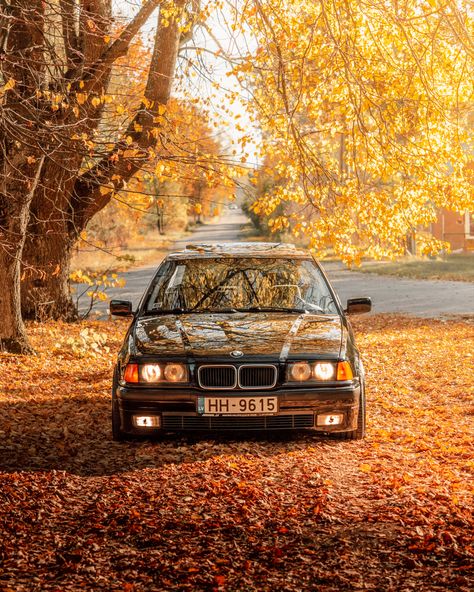 Lowered black BMW E36 sedan in colorful autumn leaves, fall photoshoot. Fall Car Aesthetic, Bmw E30 M3 Aesthetic, Bmw E36 Wallpapers, Bmw E 36, Bmw E36 Sedan, Jdm Aesthetic, Black Sedan, E36 Sedan, Bmw E36 M3