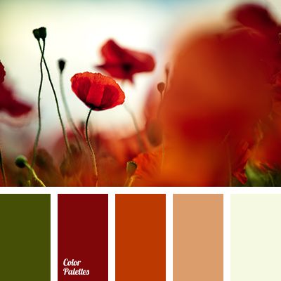 brick red, burgundy, colour of grass, colour of green stems, colour of poppy… Design Seeds, Poppy Field, Color Balance, Decor Minimalist, Color Stories, World Of Color, Colour Schemes, Color Pallets, Color Swatches