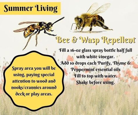 EO Bee and Wasp Repellant Blend Natural Bee Repellent, Bee Repellent, Wasp Repellent, Doterra Blends, Natural Bug Repellent, Bees And Wasps, Essential Oils Herbs, Play Outside, Glass Spray Bottle