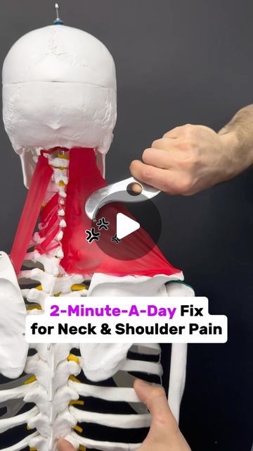 How To Release Trapezius Muscle, Neck And Shoulder Tension Relief, Stiff Shoulder And Neck, Neck Shoulder Pain Relief, Neck Decompression, Neck Pain Relief Stretches, Neck And Shoulder Pain Relief, Saggy Neck, Stiff Shoulder