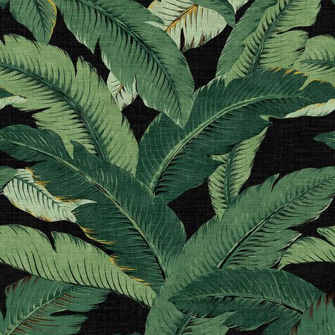 "Buy the Tommy Bahama® Swaying Palms Peel & Stick Wallpaper at Michaels. com. Featuring large scale banana leaves, it is the perfect way to transform your interior into a tropical oasis. Decorate and transform interior walls, furniture, powder room, stair riser, backsplash and many other DIY decorative applications with the Swaying Palms Peel & Stick Wallpaper by Tommy Bahama. It features large scale banana leaves! Peel and stick to any smooth flat surface without mess or sticky residue left beh Foliage Print, Palm Wallpaper, Tommy Bahama Home, Wallpaper Ceiling, Beverly Hills Hotel, Face Wrinkles, Tropical Wallpaper, Banana Leaves, Stair Risers