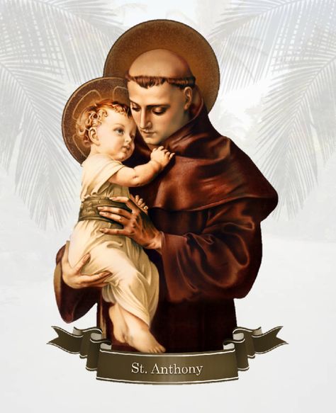 Anthony of Padua or Anthony of Lisbon was a Portuguese Catholic priest and friar of the Franciscan Order. He was born and raised by a wealthy family in Lisbon, Portugal, and died in Padua, Italy. St Anthony Prayer, Holly Images, Wealthy Family, Padua Italy, Anthony Of Padua, St Anthony's, Saint Anthony Of Padua, Mama Mary, Jesus Photo