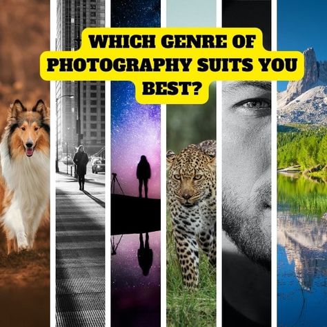 Discover Your Photographic Style: Which Genre of Photography Suits You Best? [Quiz] Britney Spears Justin Timberlake, Photos Of Celebrities, Photography Genres, Fun Photography, Ralph Macchio, Boy George, Fun Quiz, Online Photography, Photography Classes