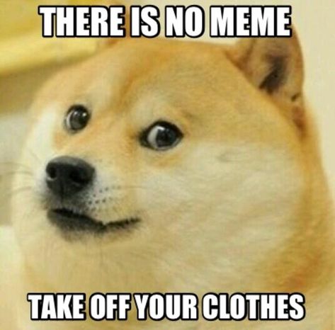 Doge "There Is No Meme, Take Off Your Clothes" | There Is No Meme / I Lied to You, Take Off Your Clothes | Know Your Meme Birthday Meme Dog, Good Night Meme, Funny Happy Birthday Pictures, Doge Meme, Funny Birthday Meme, Memes For Him, Good Night Funny, Meme Page, Cute Good Night