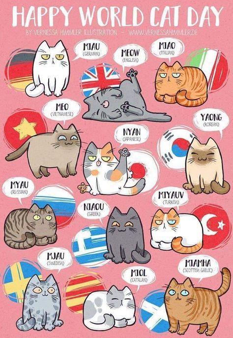 World Cat Day, Griffonnages Kawaii, Koci Humor, International Cat Day, World Cat, Cat Hacks, Cat Comics, Neko Cat, Haiwan Peliharaan