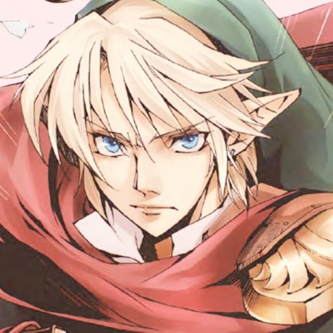 Link Pfp Zelda, Link Icon Zelda, Link Zelda Pfp, Zelda Widget, Link Pfp, Akira Himekawa, Link Icon, 9 5 Job, Zelda Twilight Princess