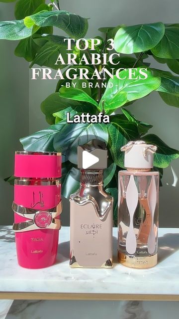 Middle Eastern Perfumes For Women, Arabian Perfumes For Women, Perfumes For Women, Perfume Lover, Desert Rose, Perfume Collection, Smell Good, Floral Bouquets, Meringue